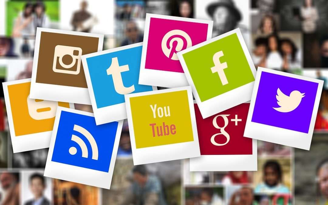 What captures your attention on social media?